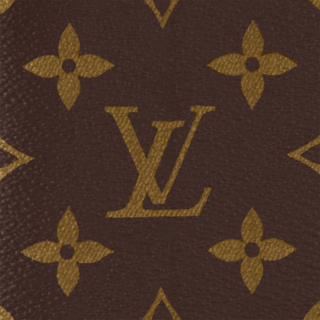 Louis Vuitton Brazza Wallet Size ONE SIZE - 4 Thumbnail