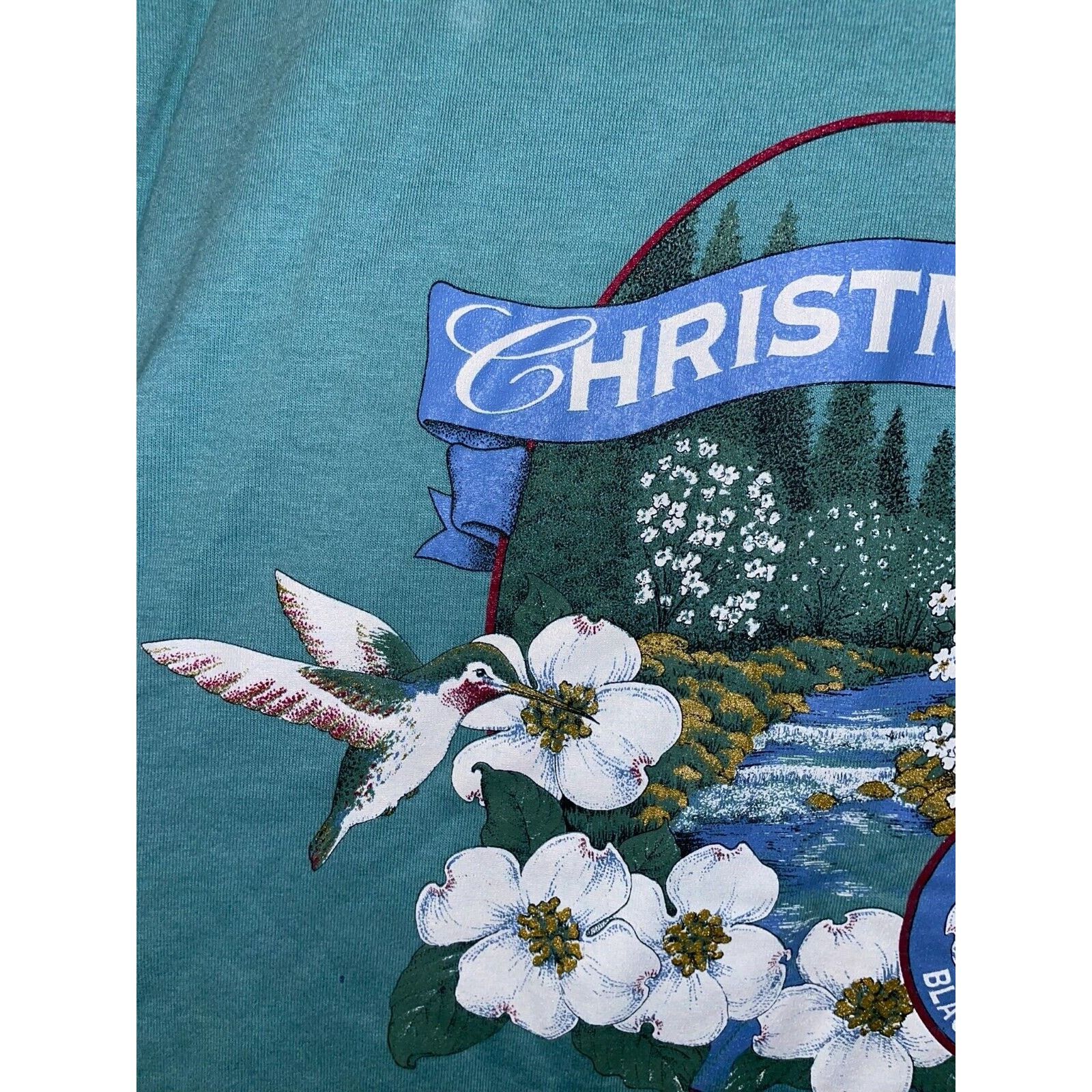 Jerzees Vintage Christmount Shirt Black Mountains NC Tee Large 90s Size US L / EU 52-54 / 3 - 6 Thumbnail