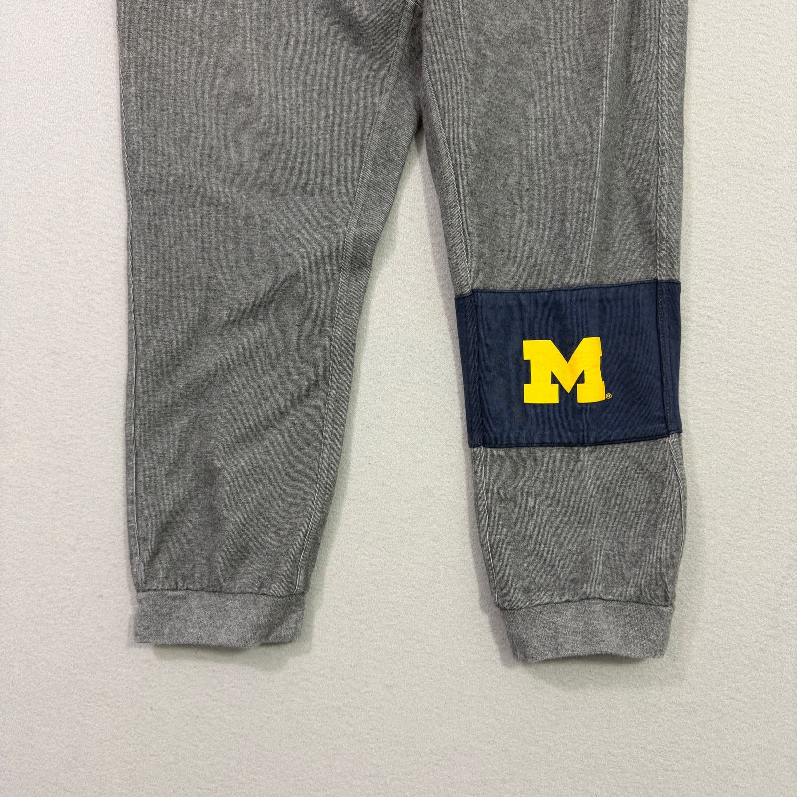 Nike Nike Michigan Wolverines Sweatpants Men's Large Gray Joggers Size US 34 / EU 50 - 2 Thumbnail