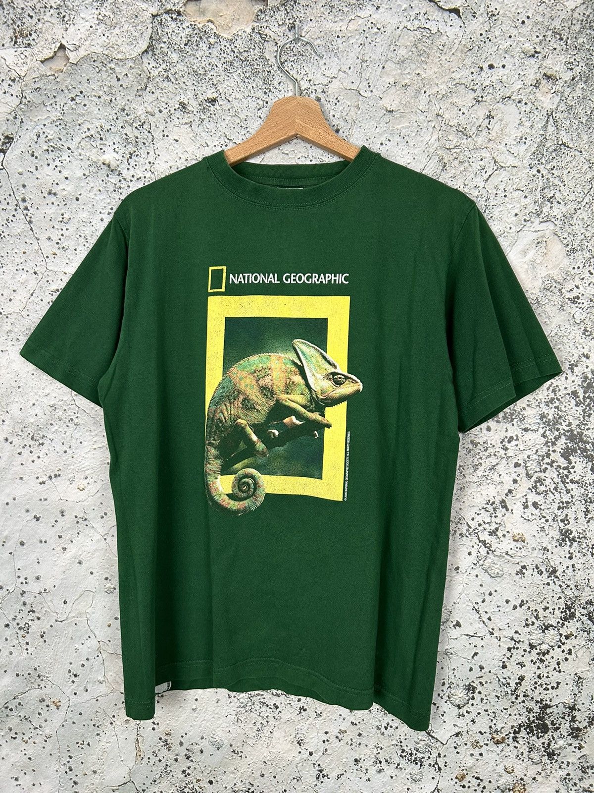 Vintage National Geographic Animal Graphic Tee Chameleon