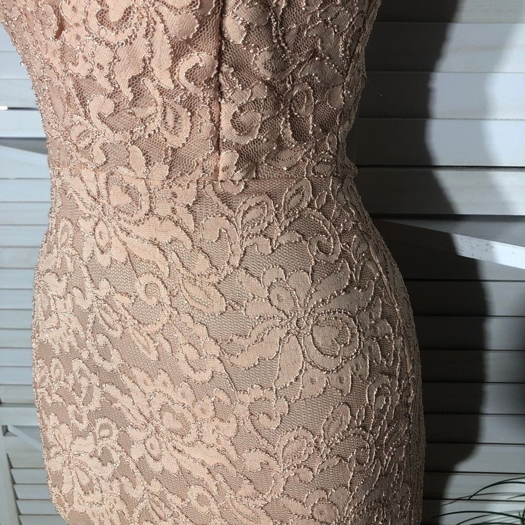 Windsor Smith NWOT Windsor Chantilly Bodycon Dress Lace Mermaid Hem Pink L Size L / US 10 / IT 46 - 8 Thumbnail
