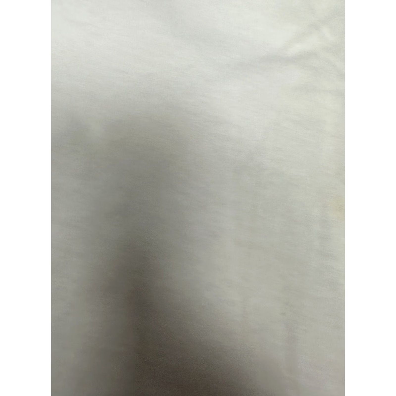 Fruit Of The Loom VINTAGE Striporama Lil St. Cyr Georgia Sothern Rosita Royce Naked Show Tee 3XL Fruit of the Loom White Cotton Mens Size US XXL / EU 58 / 5 - 7 Thumbnail