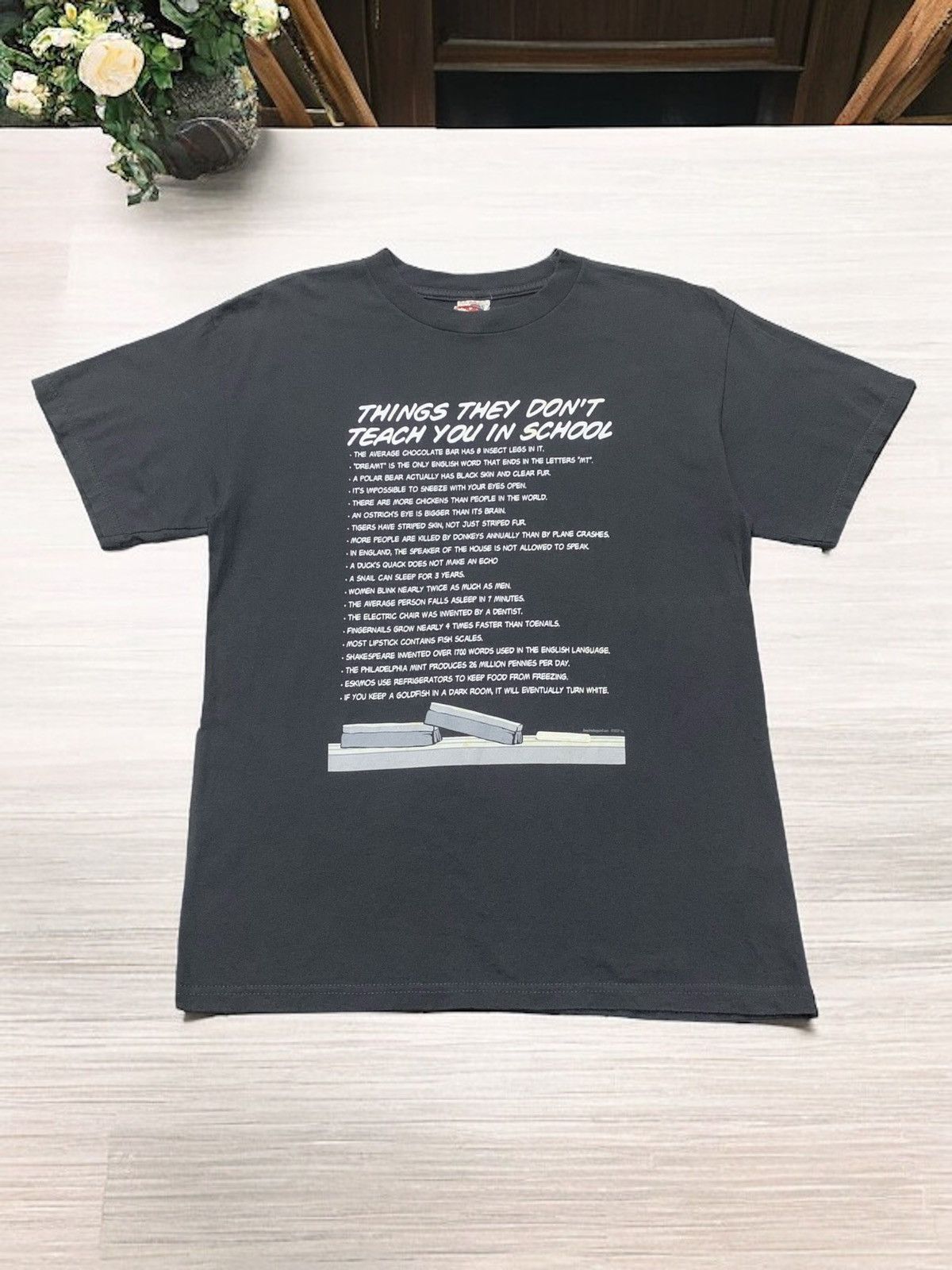 Other Vintage Y2K Word THINGS THEY DON'T TEACH YOU IN SCHOOL Tee Size US M / EU 48-50 / 2 - 1 Thumbnail