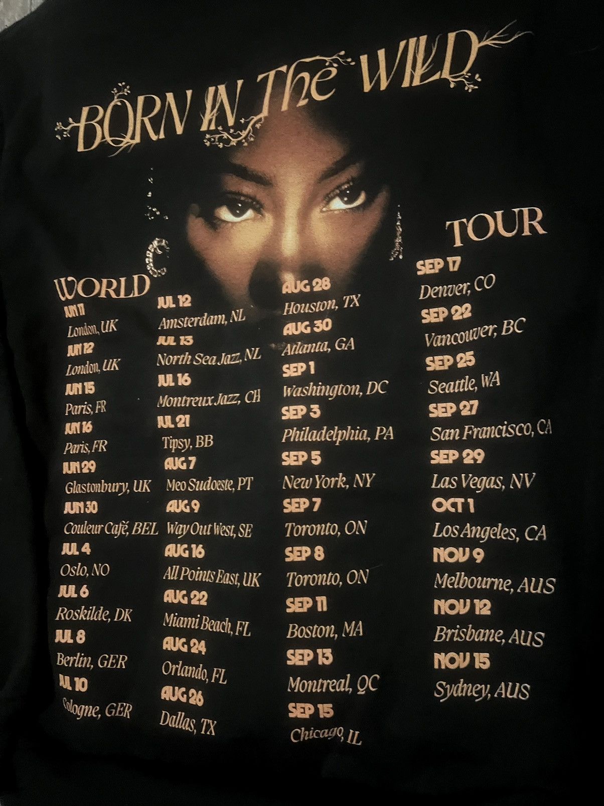 Band Tees Tems Born in the Wild World Tour Hoodie size Medium Size US M / EU 48-50 / 2 - 4 Thumbnail
