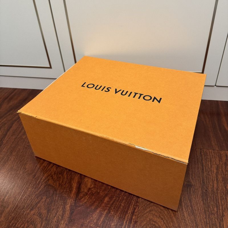 Louis Vuitton Louis Vuitton Trainer Maxi Stylish Low-top Sneakers -2508 Size US 9.5 / EU 42-43 - 6 Thumbnail