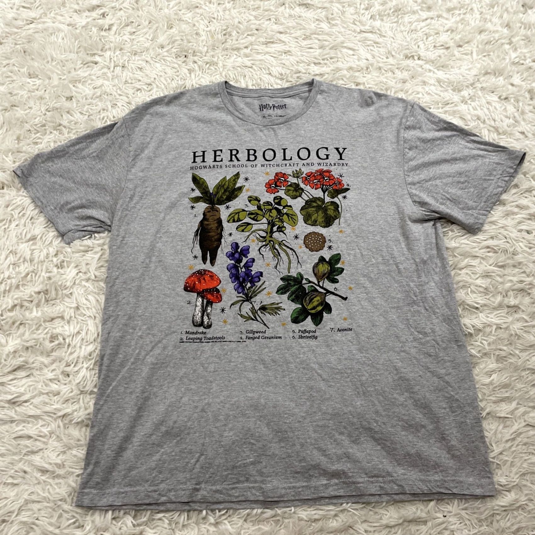 Vintage HARRY POTTER HERBOLOGY Shirt Men XL Gray Hogwarts Mandrake XL 46 48 Graphic Print Logo Crew Neck Short Sleeve Cotton Regular Size US XL / EU 56 / 4 - 2 Thumbnail