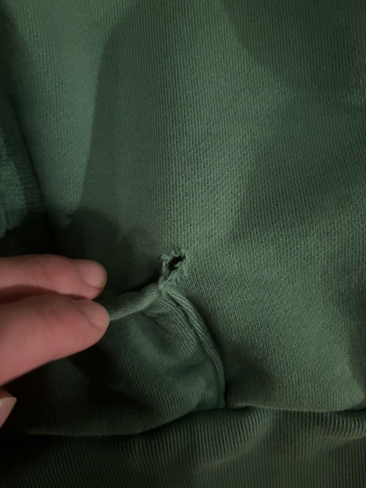 Strawberry Mansion Hoodie
