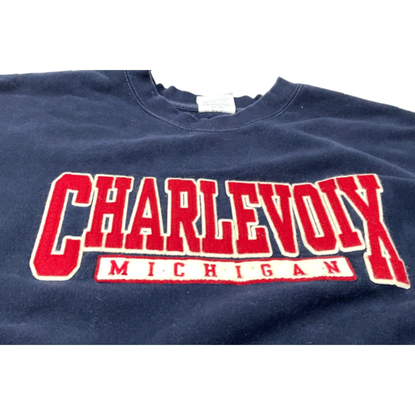 Vintage VINTAGE MV Sport Pro Weave Sweatshirt Men XL Blue Embroidered 90s Northern Michigan Graphic Print Heavyweight Crew Neck Pullover Cotton Blend Size US XL / EU 56 / 4 - 5 Thumbnail