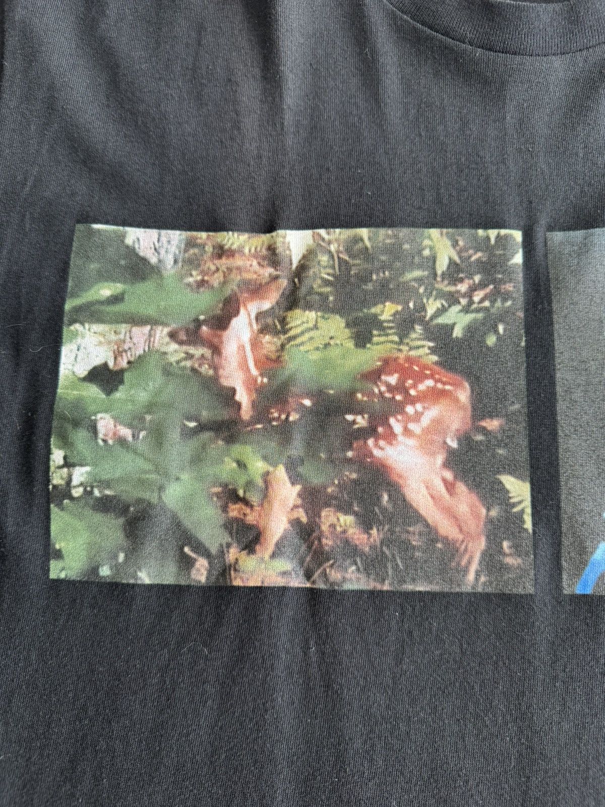 Junya Watanabe × Supreme CDG MAN Nature Tee Size US L / EU 52-54 / 3 - 3 Thumbnail