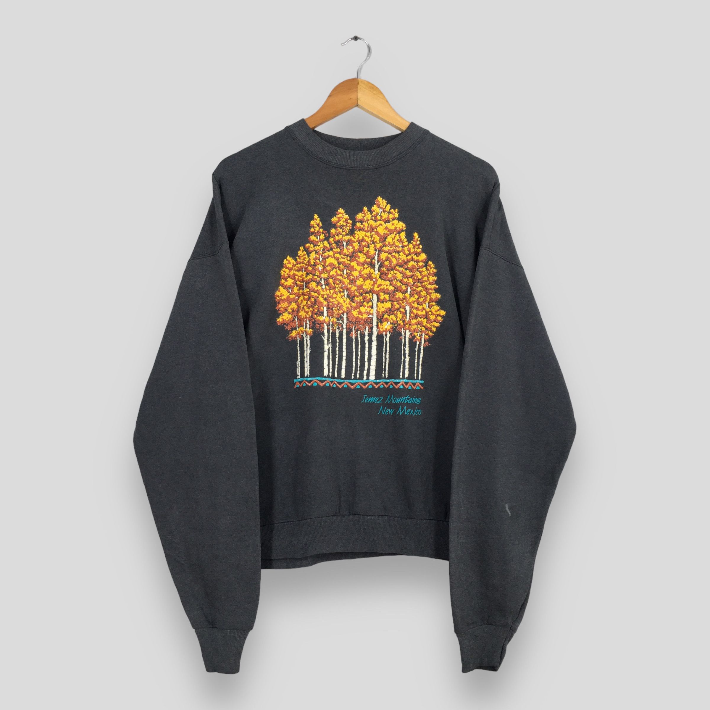 Hanes × Vintage Vintage New Mexico Sweatshirt XLarge Size US XL / EU 56 / 4 - 1 Thumbnail