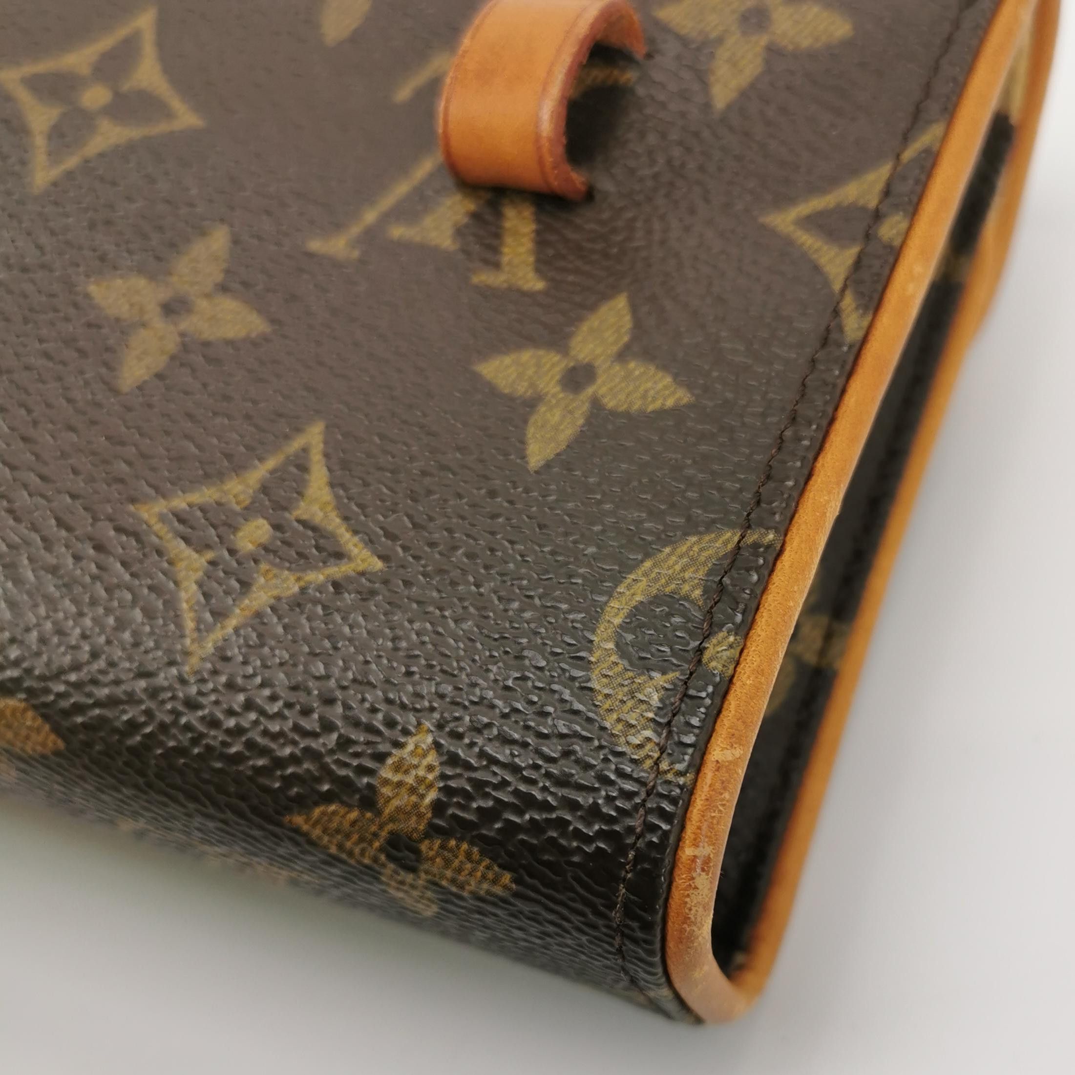 Louis Vuitton Louis Vuitton (LV) Florentine vegetable tanned leather Mono Size ONE SIZE - 9 Thumbnail