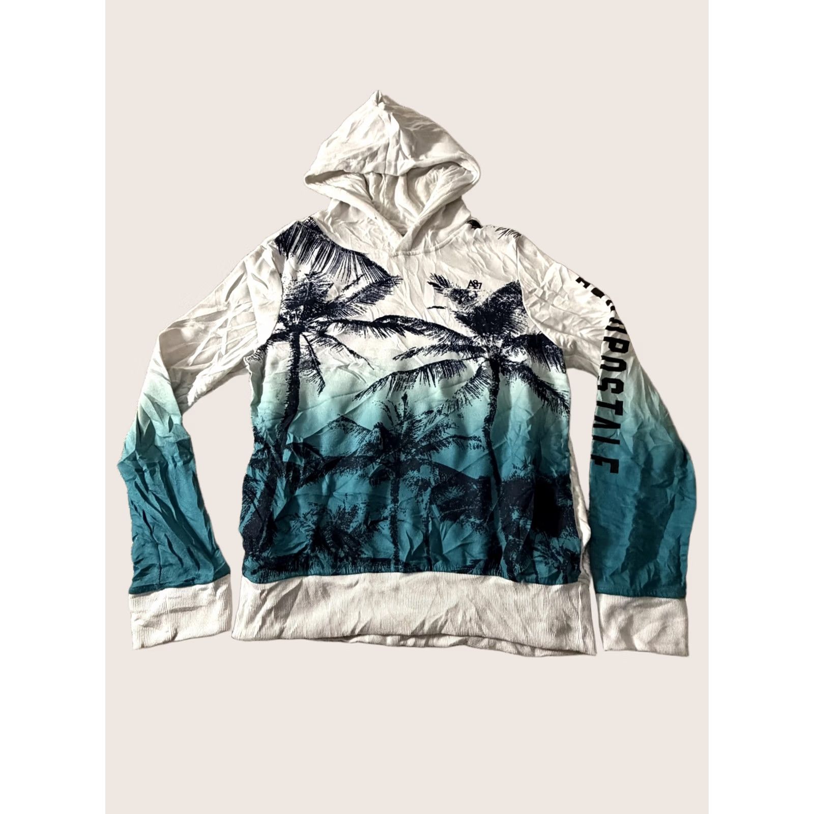 Aeropostale Aeropostale Mens Medium Blue Palm Tree Graphic Hoodie Sweatshirt Size US M / EU 48-50 / 2 - 1 Thumbnail