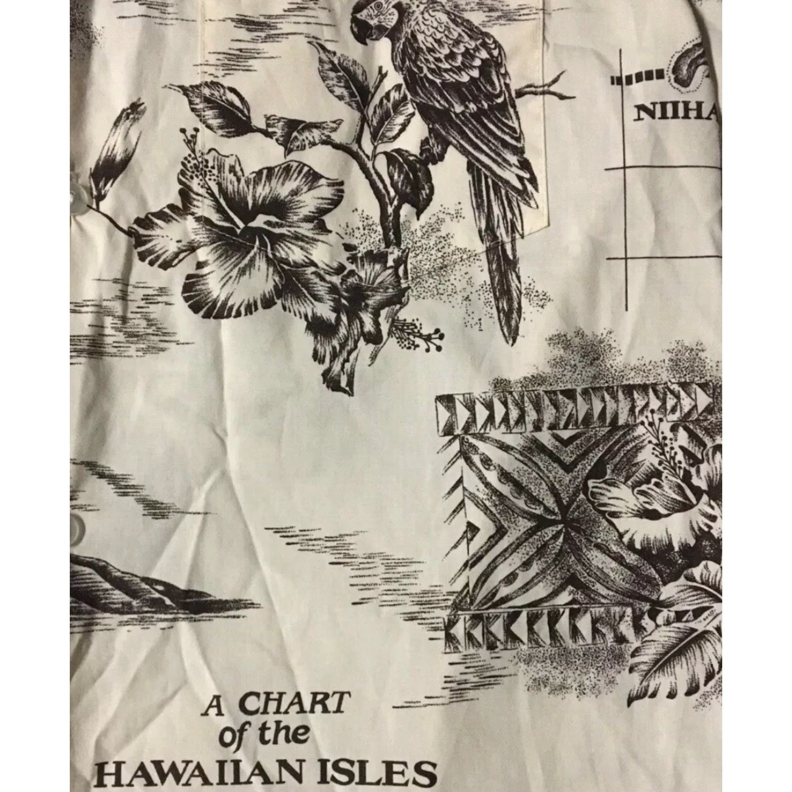 Vintage Vtg 90s Howie AOP Hawaiian Map Shirt L Parrot Animal Art Surf Skate Beach Grunge Size US L / EU 52-54 / 3 - 3 Thumbnail