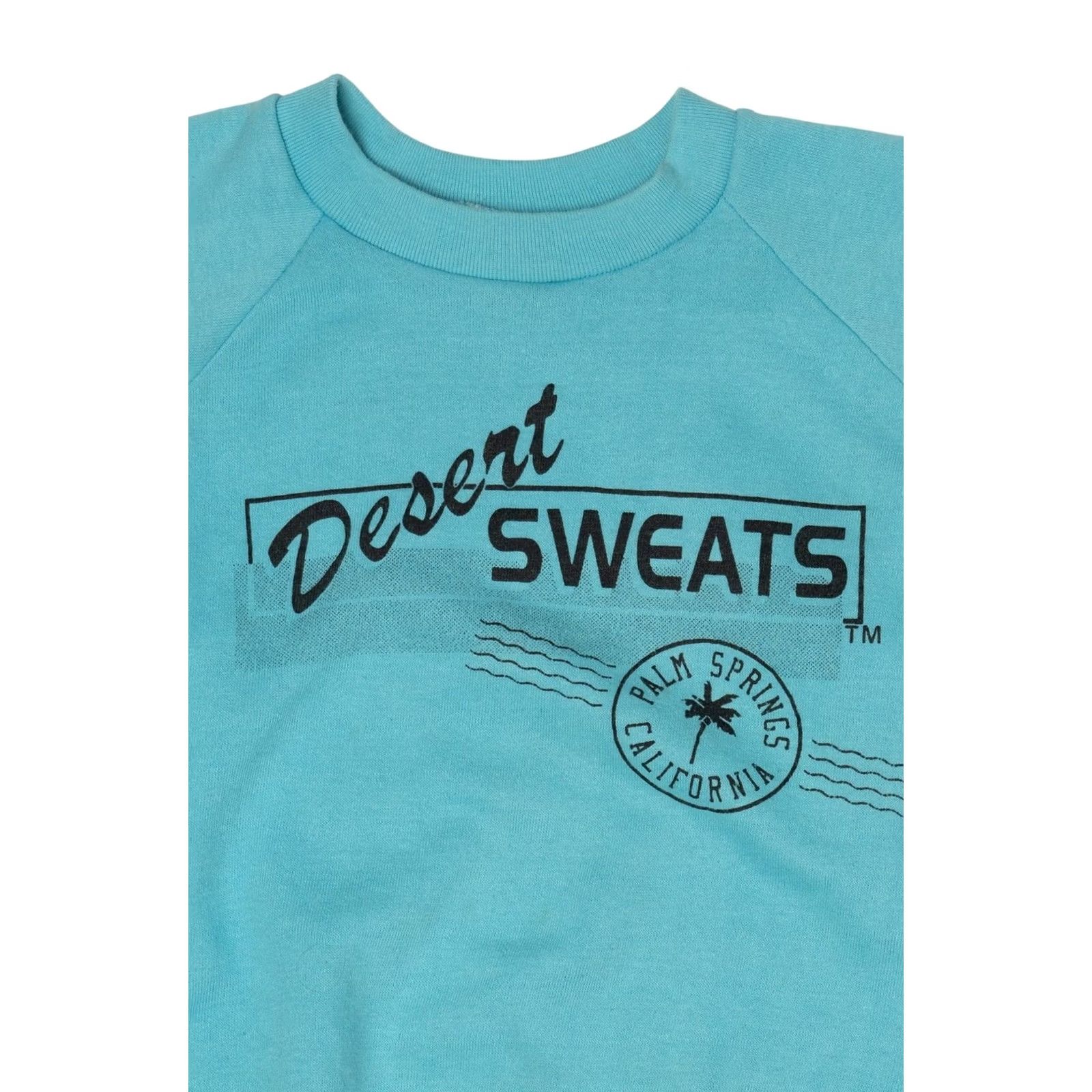 Vintage VINTAGE Desert Sweats Raglan Sweatshirt Palm Springs California Blue 1990s Medium Mens/Adults Size US M / EU 48-50 / 2 - 2 Thumbnail