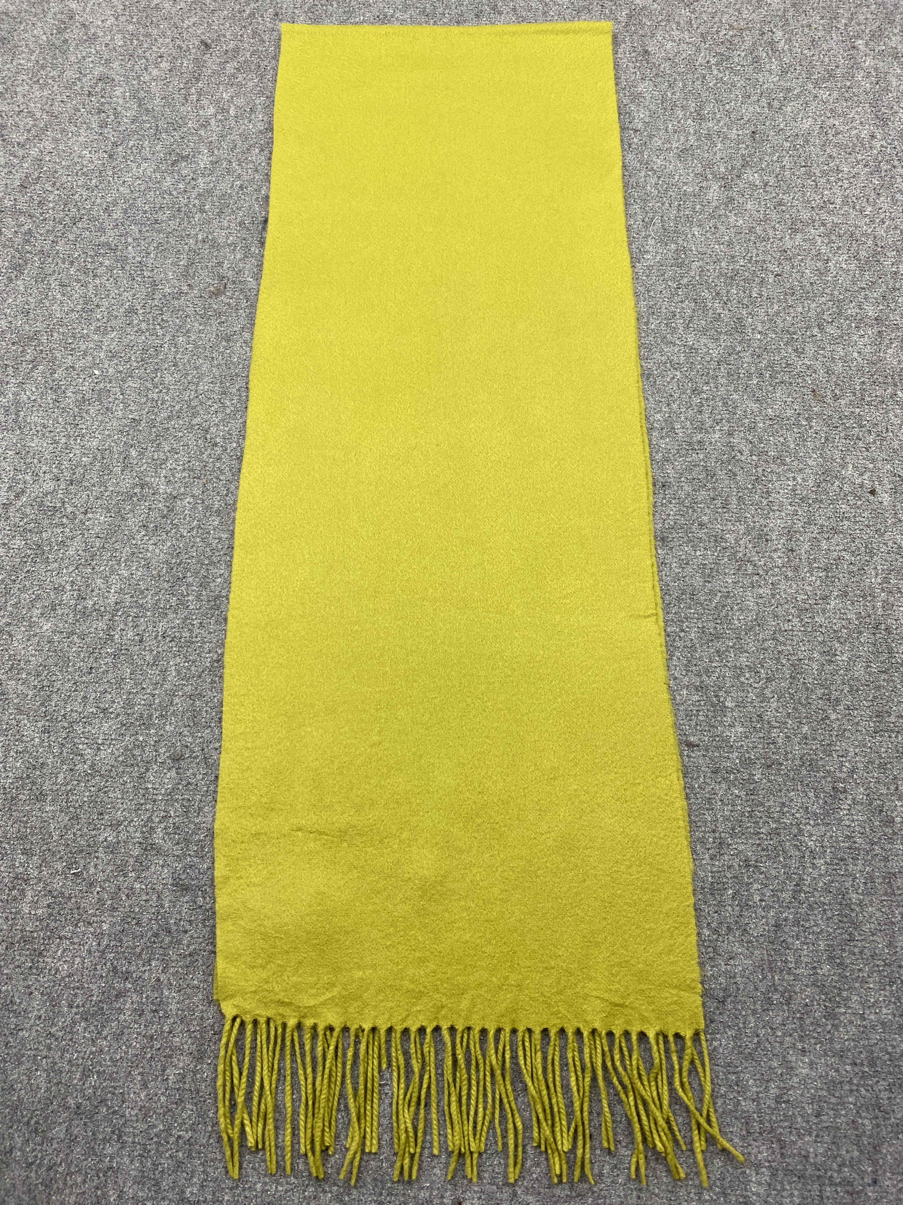 Lanvin Lanvin Collection Cashmere Scarf Muffler SC0193 Size ONE SIZE - 2 Thumbnail
