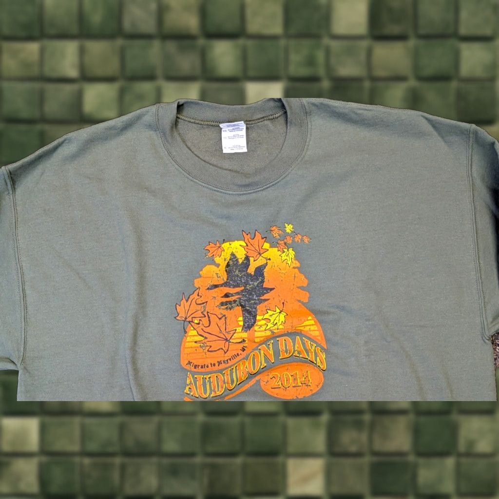Gildan VINTAGE Gildan Sweatshirt Adult XL Green Audubon Days Mayville Wisconsin Souvenir 2014 Size XL / US 12-14 / IT 48-50 - 1 Thumbnail