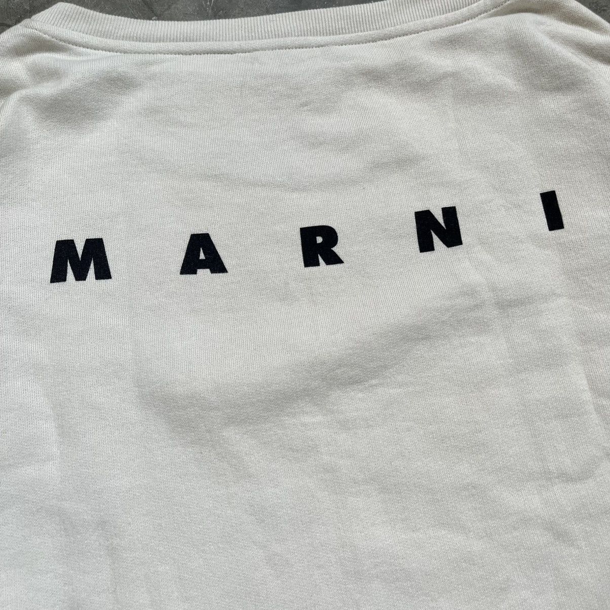 Marni SS/19 Marni Pig Crop Sweatshirt Size M / US 6-8 / IT 42-44 - 4 Thumbnail