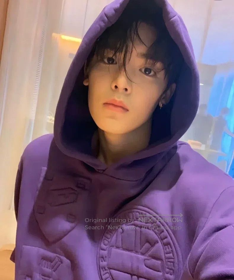 Louis Vuitton Louis Vuitton Purple Embossed Hoodie Size US XS / EU 42 / 0 - 8 Thumbnail