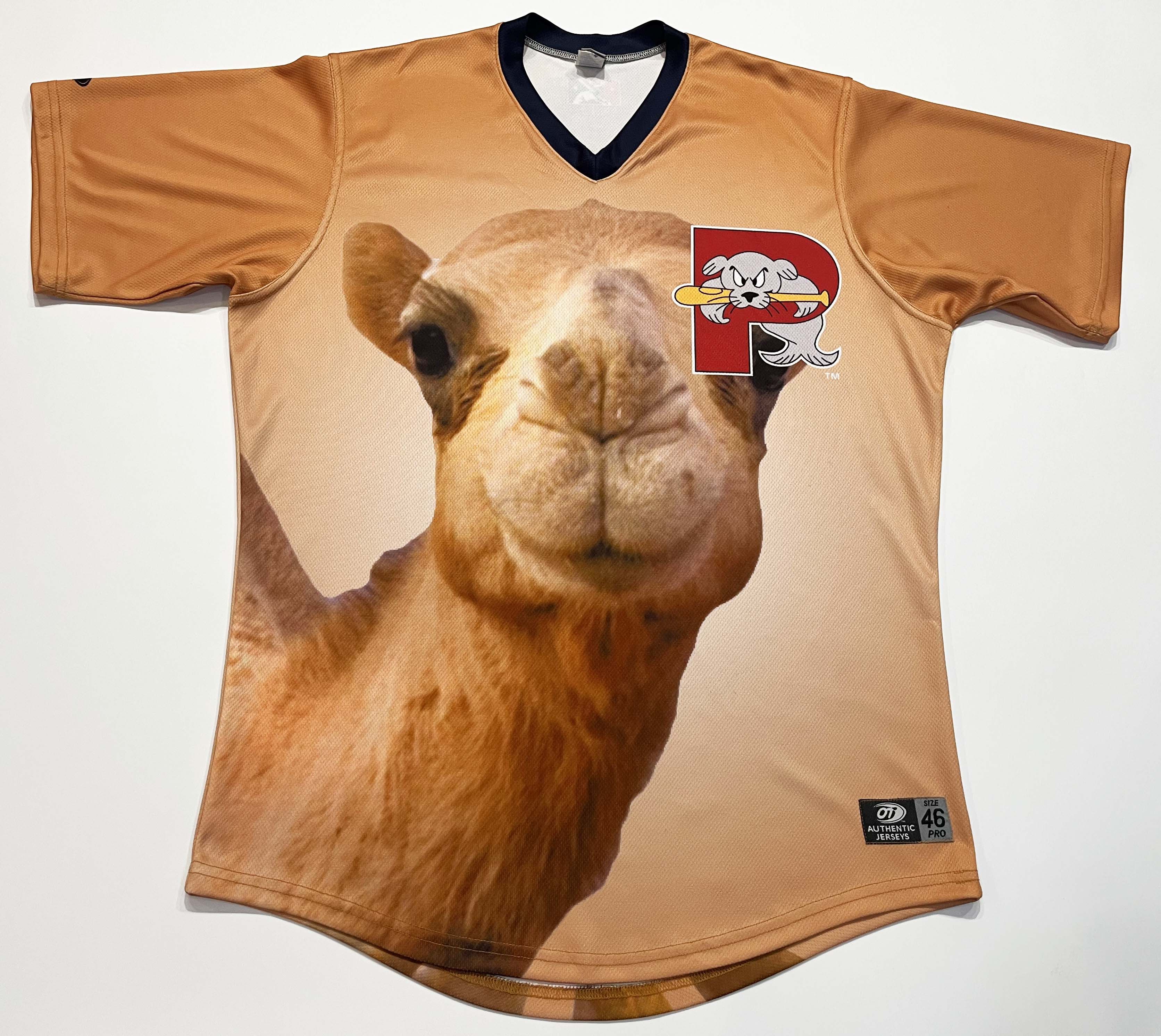 Vintage OT Sports MiLB Portland Sea Dogs #33 Camel Baseball Jersey Size US L / EU 52-54 / 3 - 1 Thumbnail