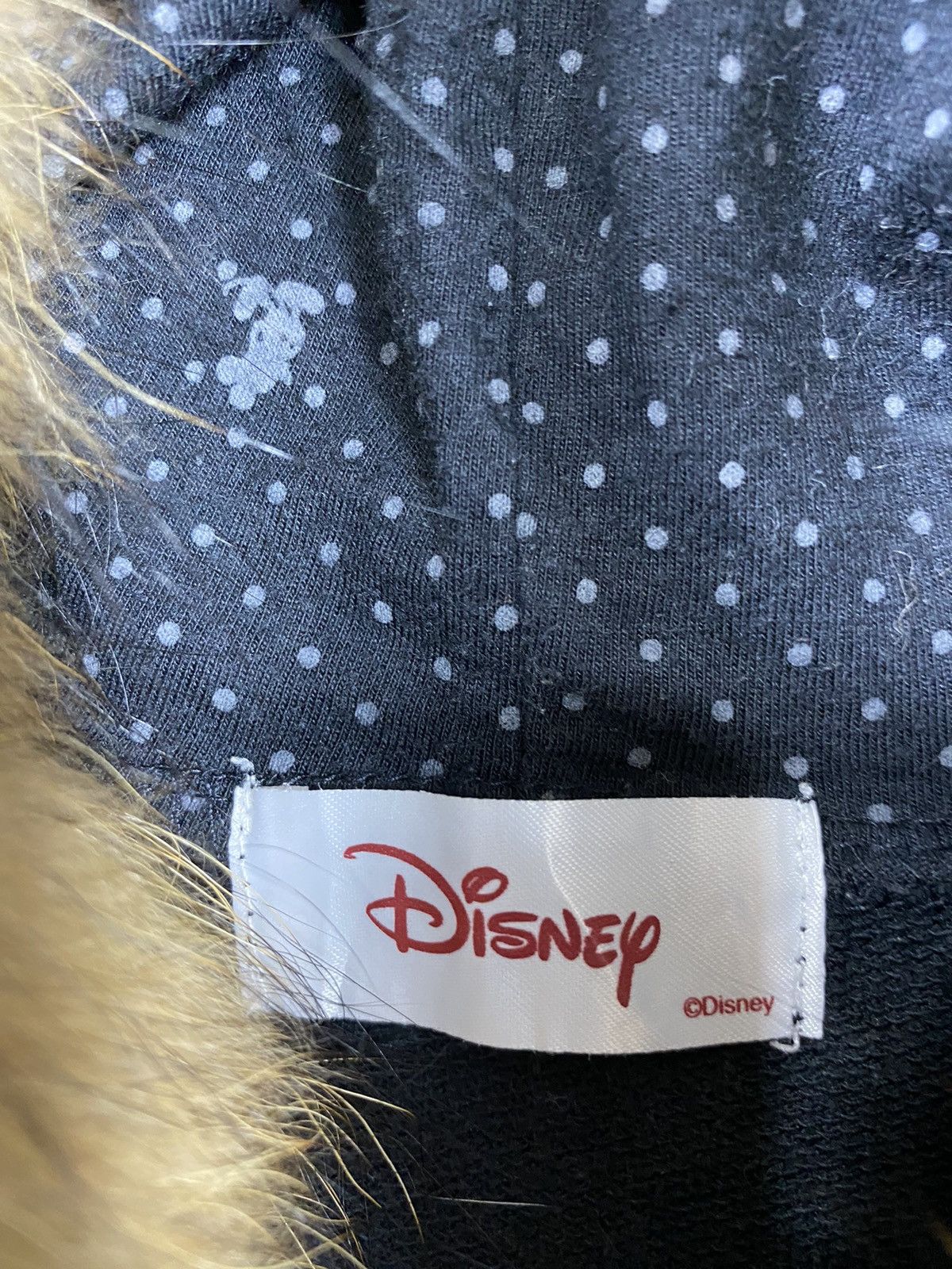 Disney vintage Disney-Fur Zip Hoodie Lgb Style Size US M / EU 48-50 / 2 - 4 Thumbnail