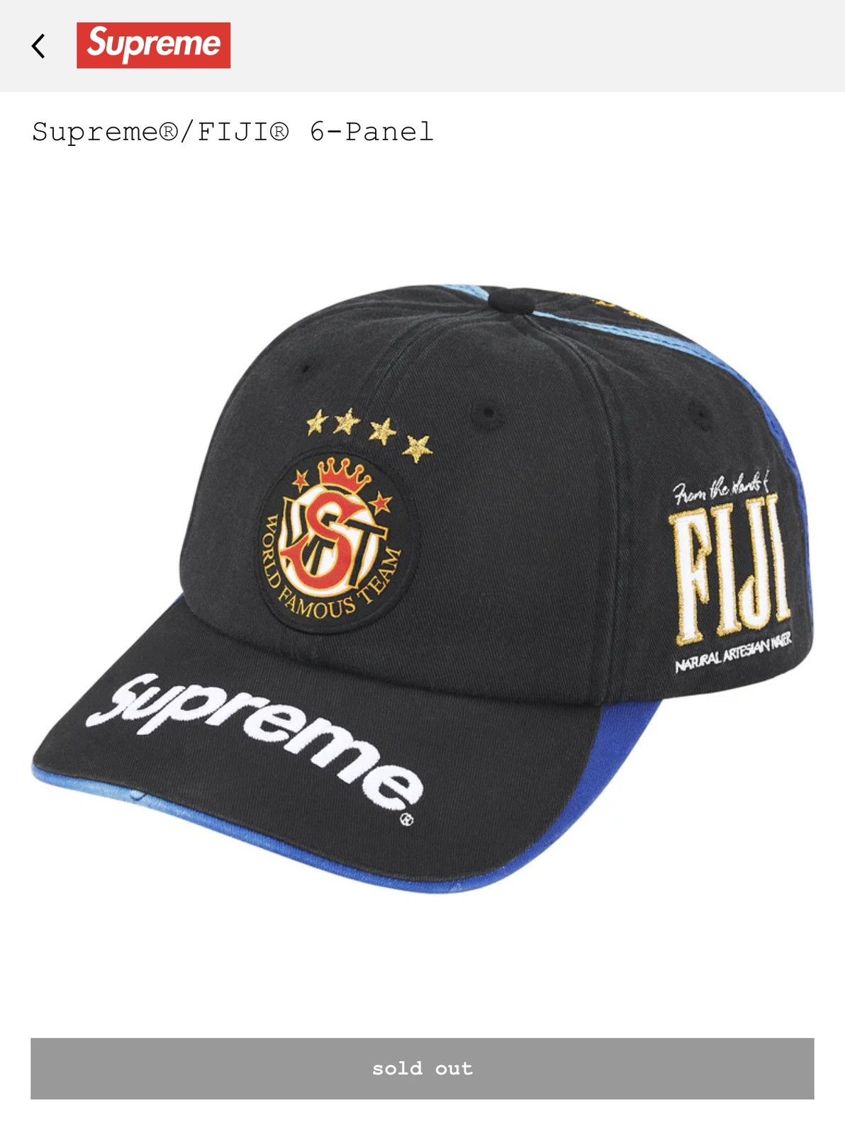 Supreme Supreme FIJI 6-Panel | Grailed