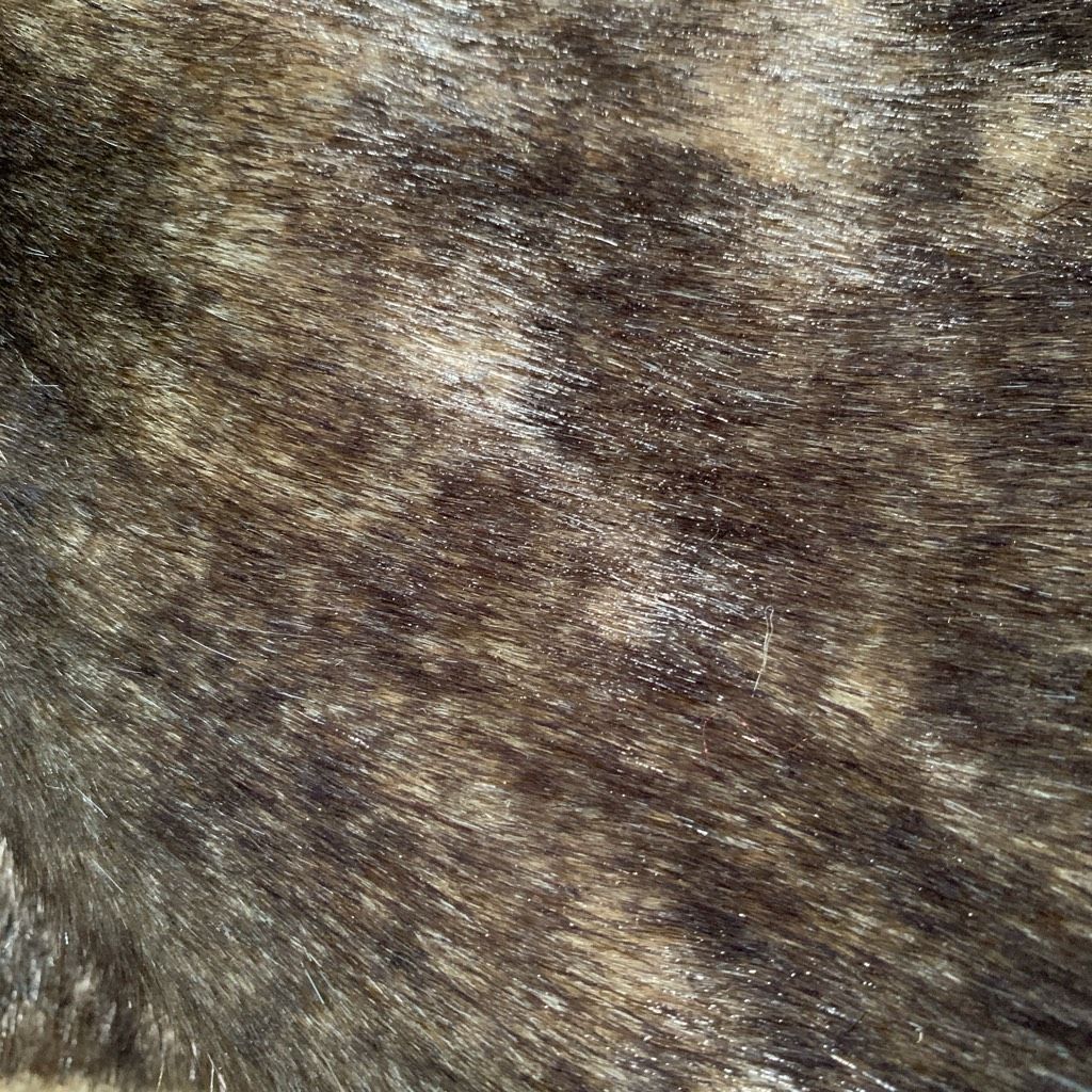 Vintage Vintage Tally-Ho Reversible Faux Fur Button Front Coat Brown Size L / US 10 / IT 46 - 15 Thumbnail
