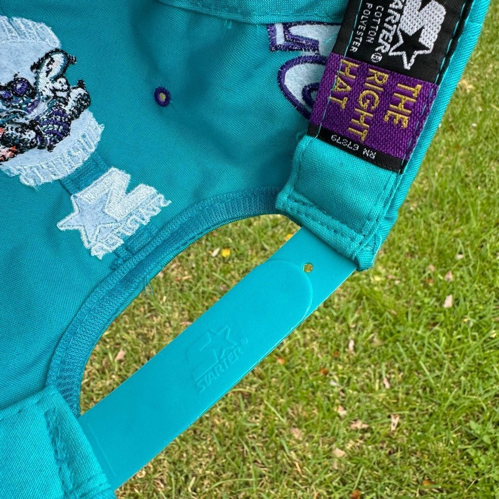 Vintage 90s Starter Charlotte Hornets Big Monster Logo NBA B