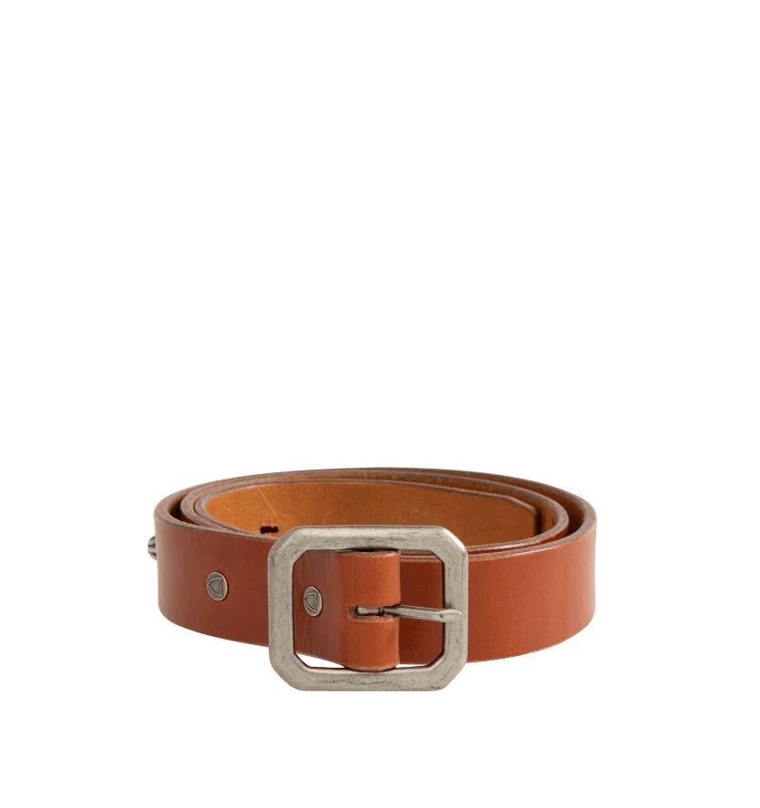 Full Count & Co. o1h1sh11225 Size:36/ Umbrella Studs Belt in Brown Size ONE SIZE - 1 Thumbnail