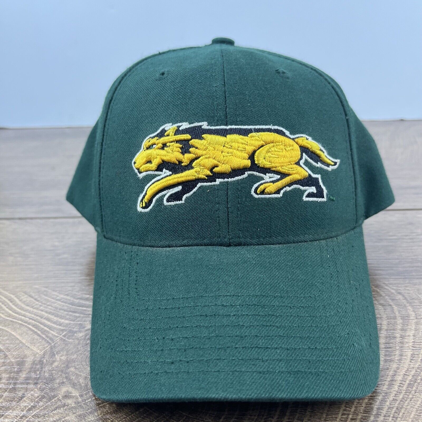 Other Wright State Raiders Green Hat NCAA Green Hat Adjustable Hat Size ONE SIZE - 2 Thumbnail