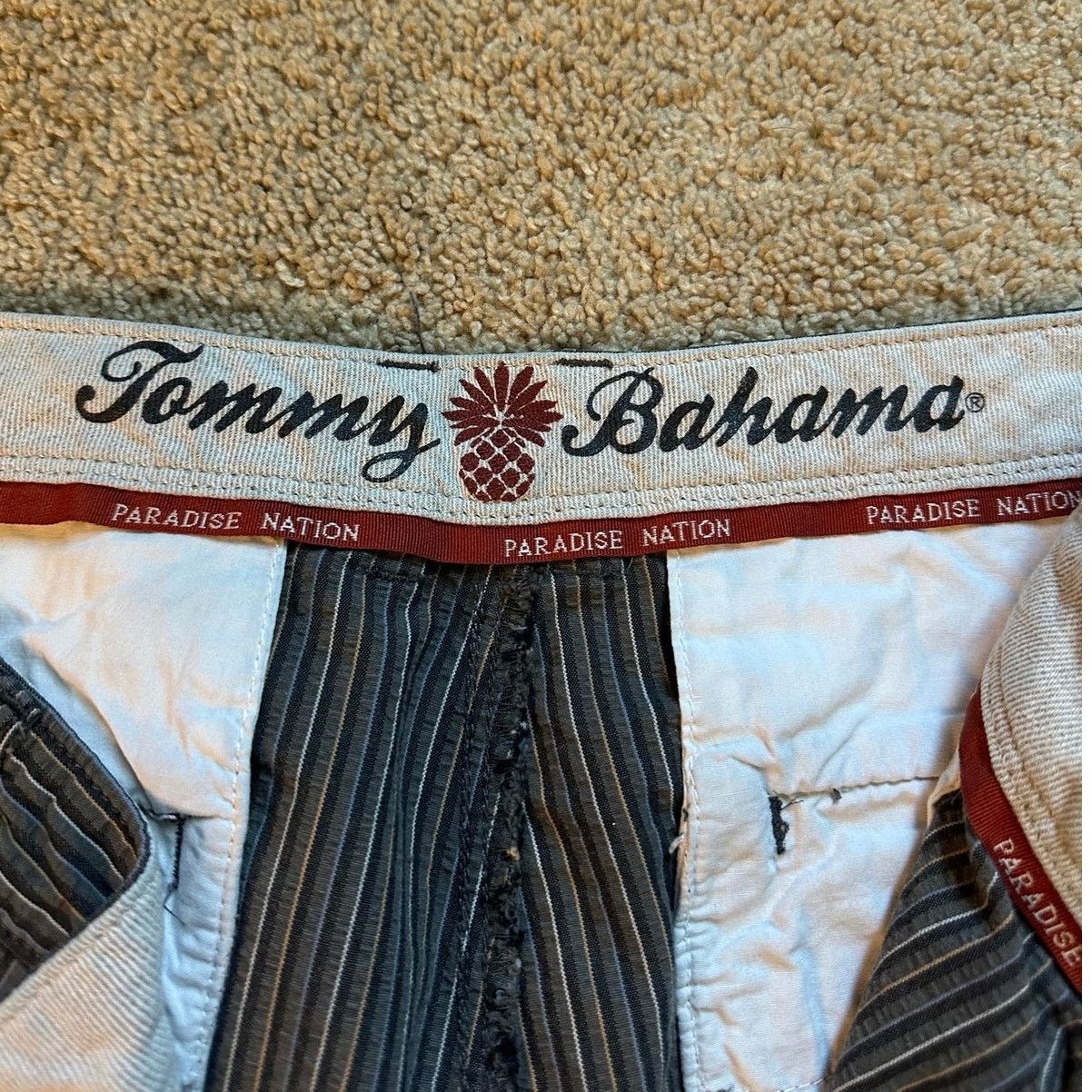 Tommy Bahama Tommy Bahama Paradise Nation Striped Chino Shorts Black 36 Size US 36 / EU 52 - 2 Thumbnail