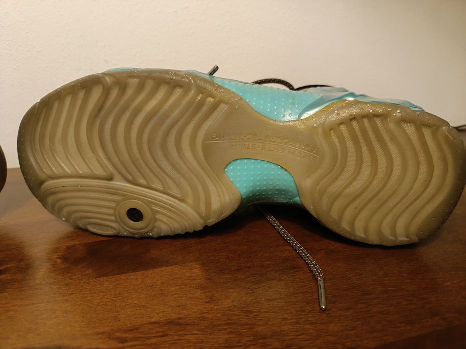 year of the horse flightposite