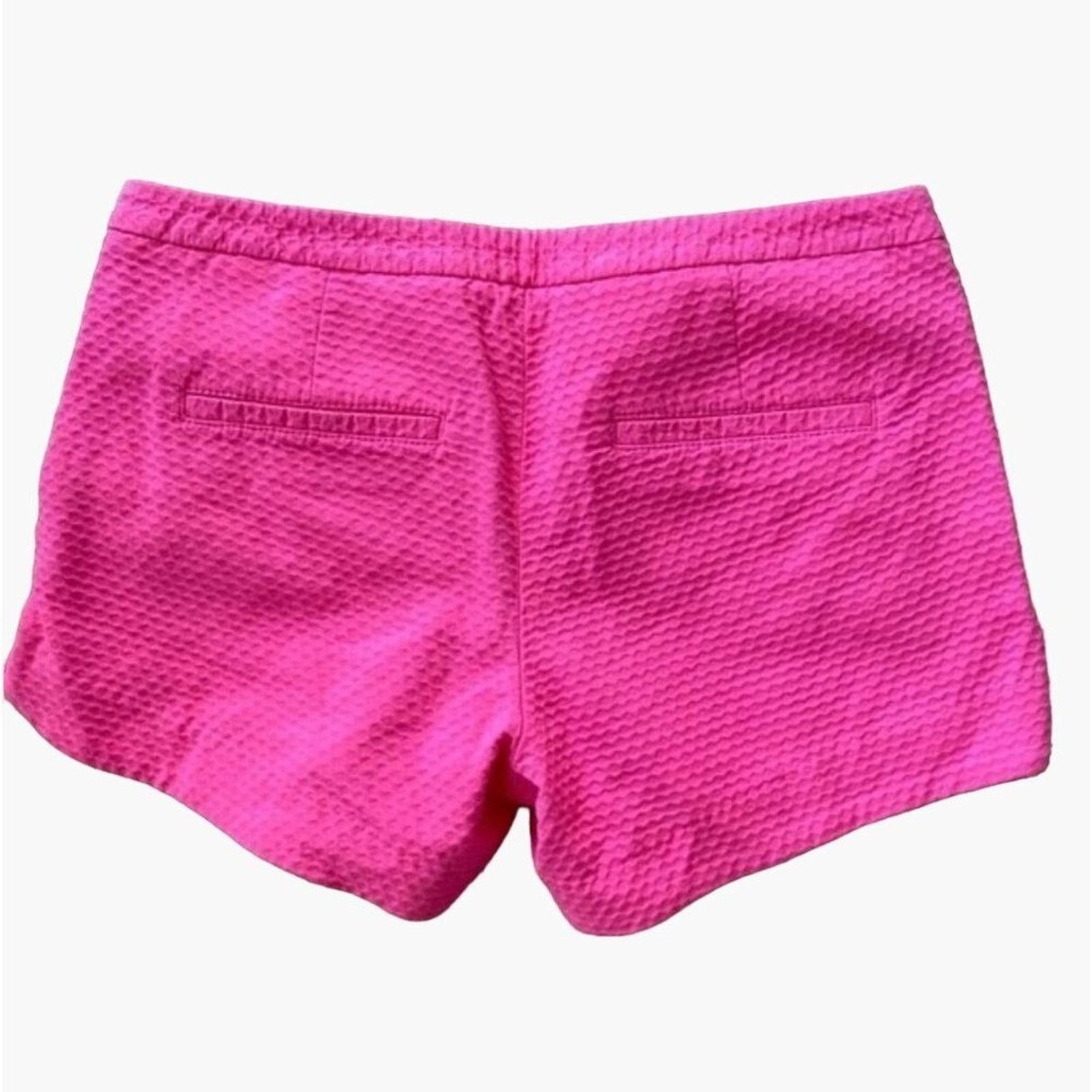 Lilly Pulitzer Lilly Pulitzer Adie 4" Jacquard Textured Shorts 6 Pockets Size 28" / US 6 / IT 42 - 5 Thumbnail