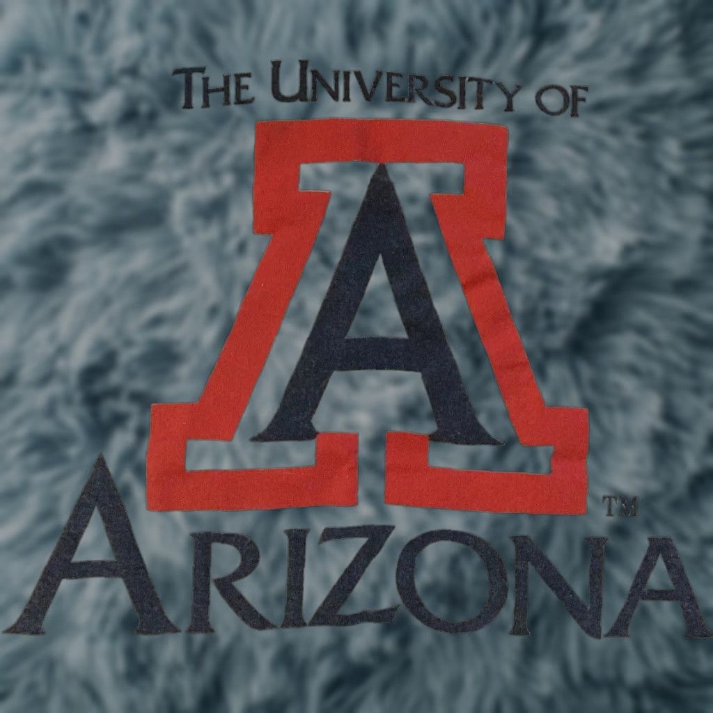 Vintage VINTAGE 80s University Of Arizona Faded Tank Top S Wildcats College Track Grunge 90s Shirt Men Small White Single Stitch USA University Tape? Size US S / EU 44-46 / 1 - 1 Thumbnail