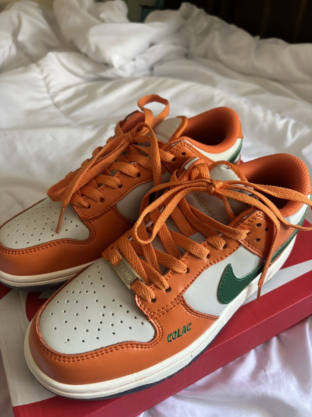Nike Florida A&M x Nike Dunk Low Size US 7 / EU 40 - 5 Thumbnail