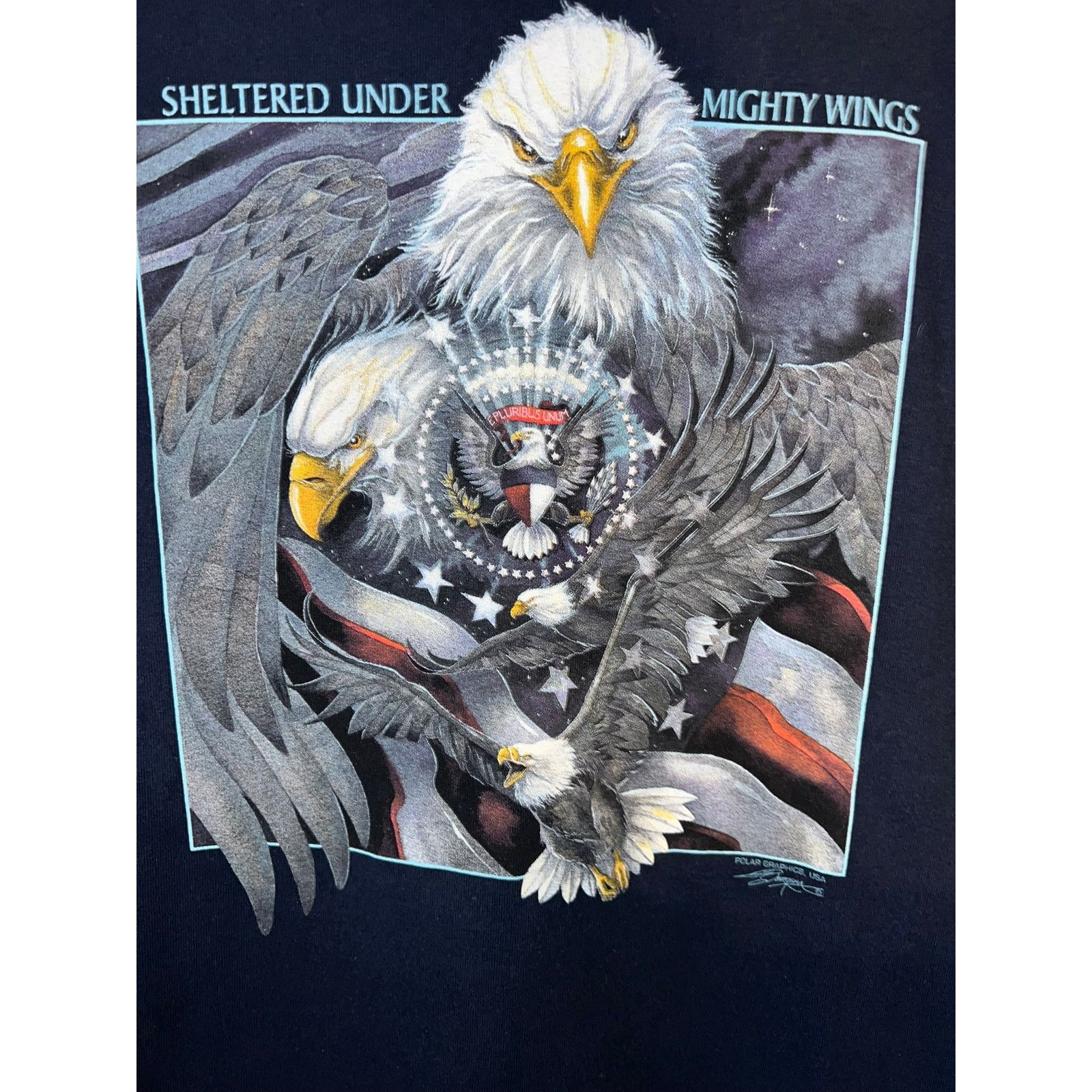 Gildan Vintage Eagle Shirt Sheltered Under Mighty Wings Blue Tee M Size US M / EU 48-50 / 2 - 5 Thumbnail