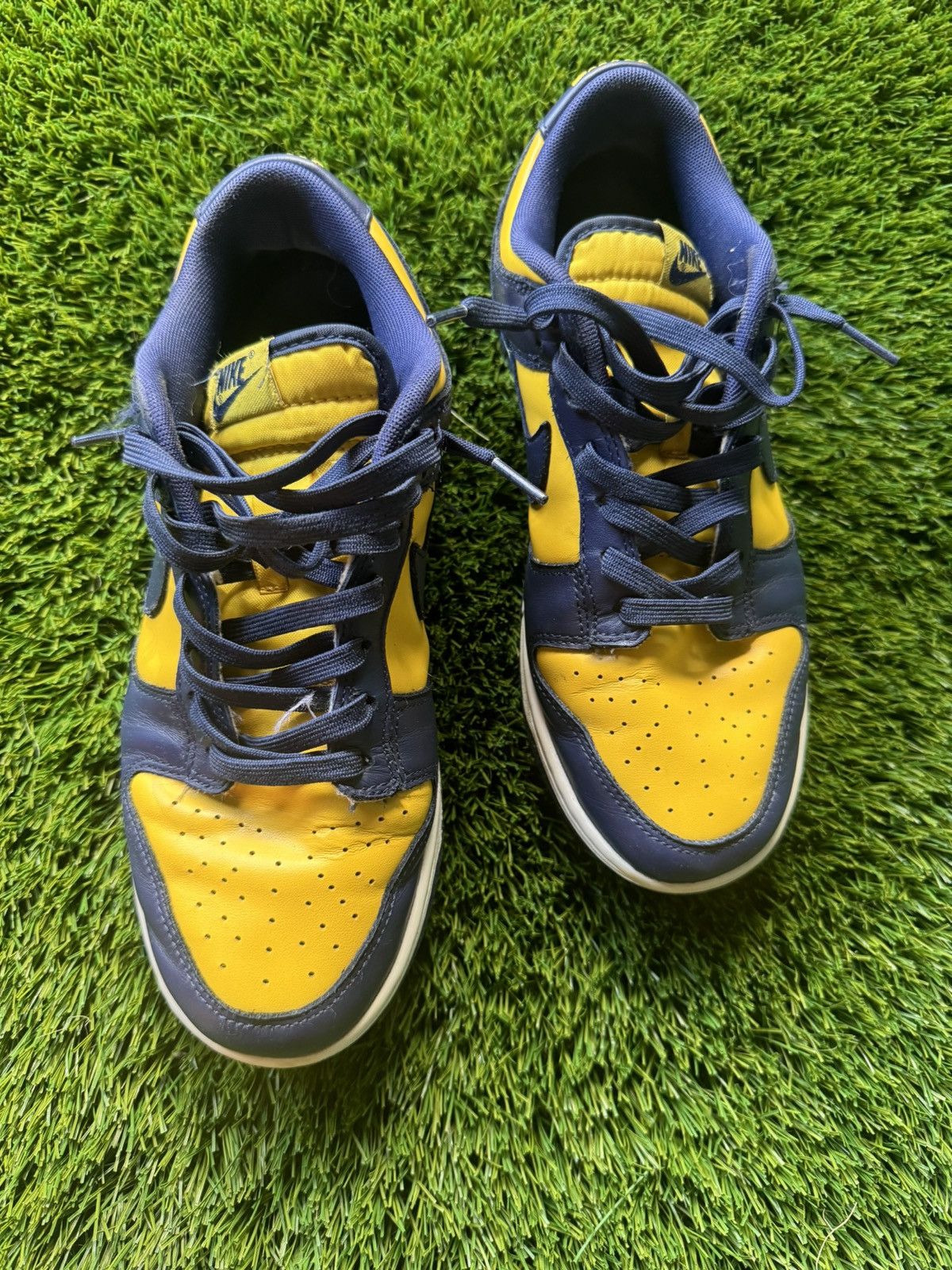 NIKE Dunks (Michigan)