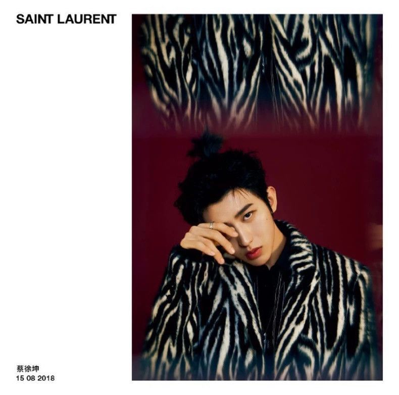 Saint Laurent Paris Saint Laurent Paris Saint Laurent Zebra Print Fur Coat-250 Size US L / EU 52-54 / 3 - 7 Thumbnail