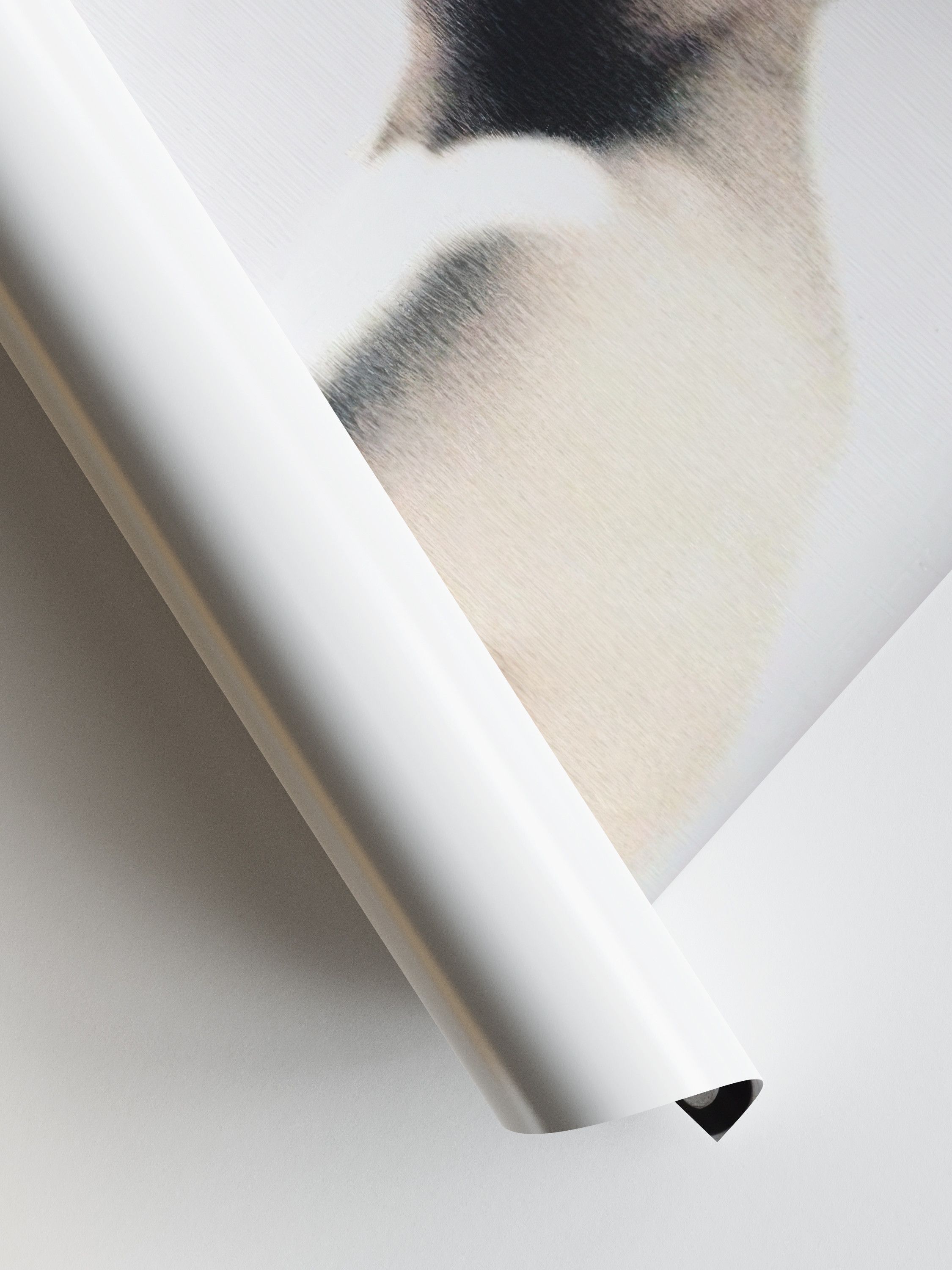 Raf Simons Raf Simons Poster Gift Vintage Archive Art Book Logo Size ONE SIZE - 2 Thumbnail