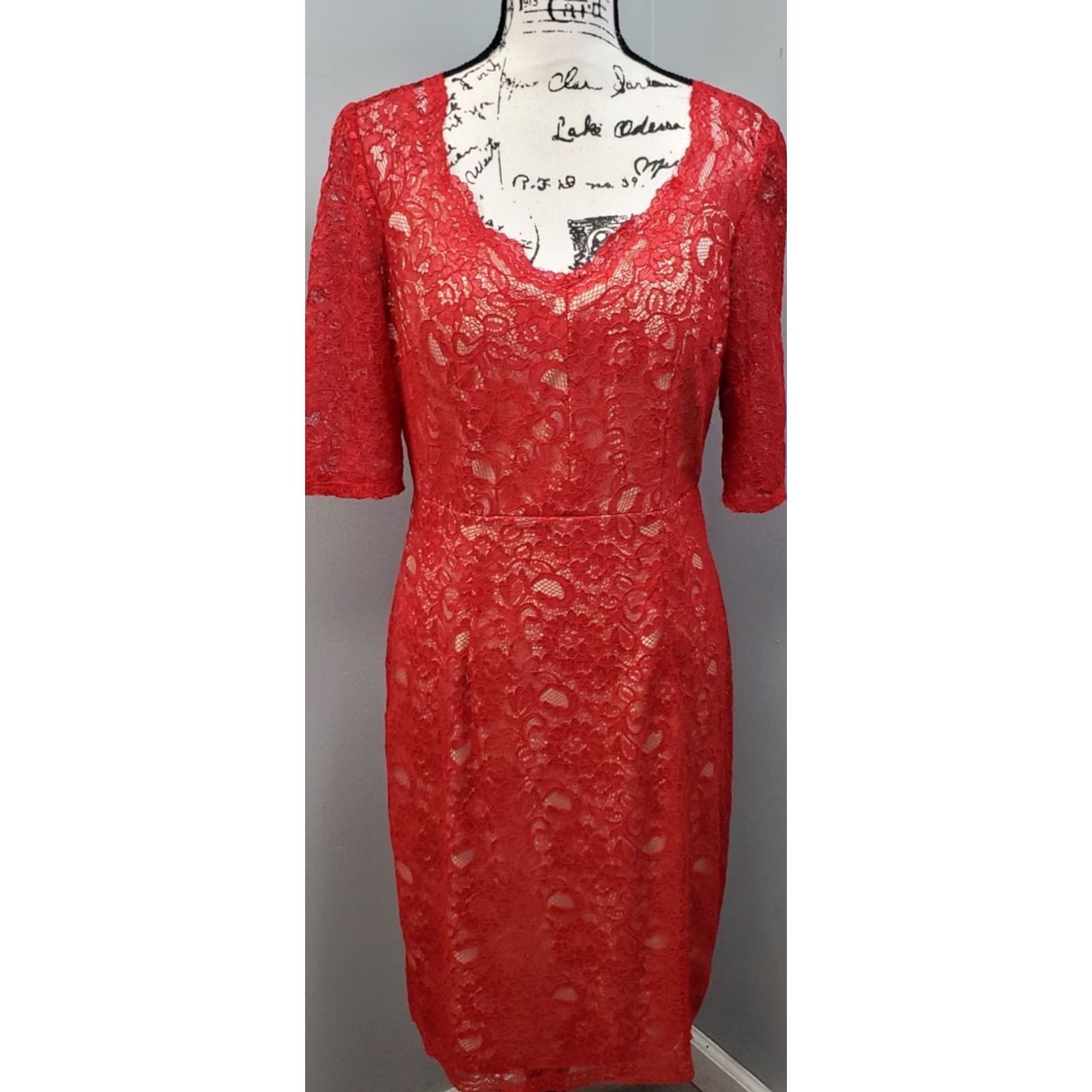 Vintage Jax Woman Red Tan Lace Overlay Knee Length 3/4 Sleeve Sheath Dress Size 10 Back Zip** Size L / US 10 / IT 46 - 2 Thumbnail