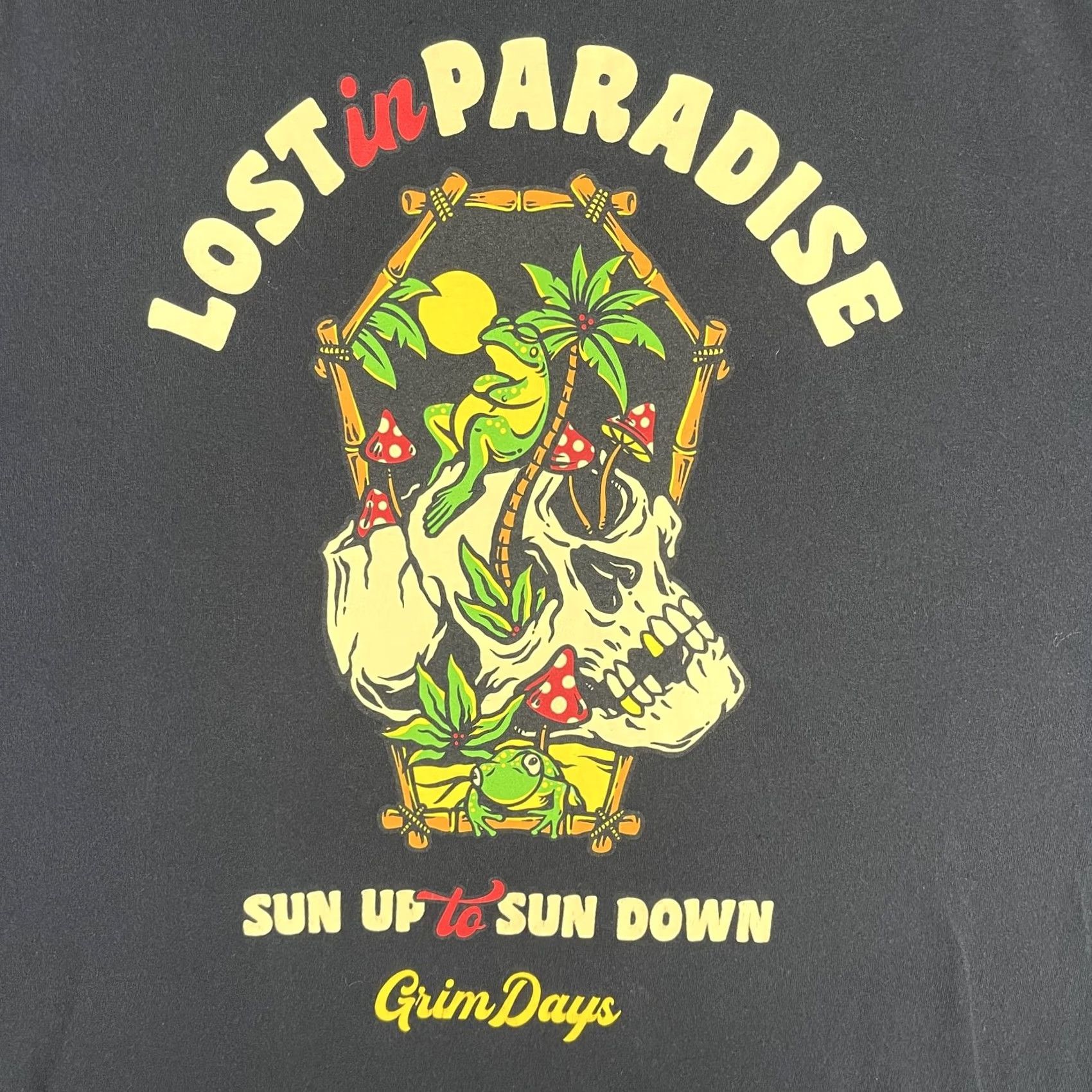 Paradise Grim Days Lost in Paradise Shirt Mens 2XL Black Graphic Skull Palm Tree Tee Size US XXL / EU 58 / 5 - 4 Thumbnail