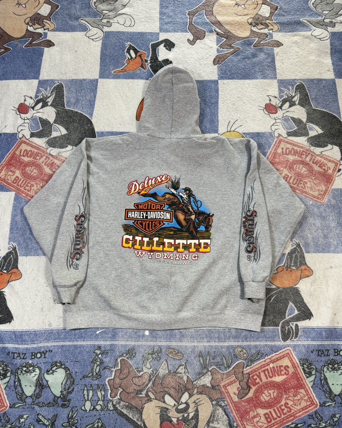 Harley Davidson Y2k harley sturgis zip up sweatshirt Size US XL / EU 56 / 4 - 3 Thumbnail