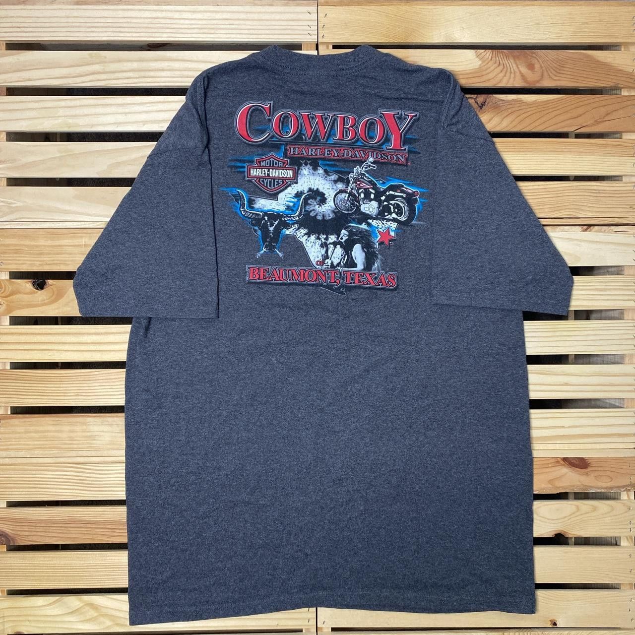 Harley Davidson Harley Davidson Beaumont, TX 2010 Gray Biker Tee Size XL Size US XL / EU 56 / 4 - 2 Thumbnail