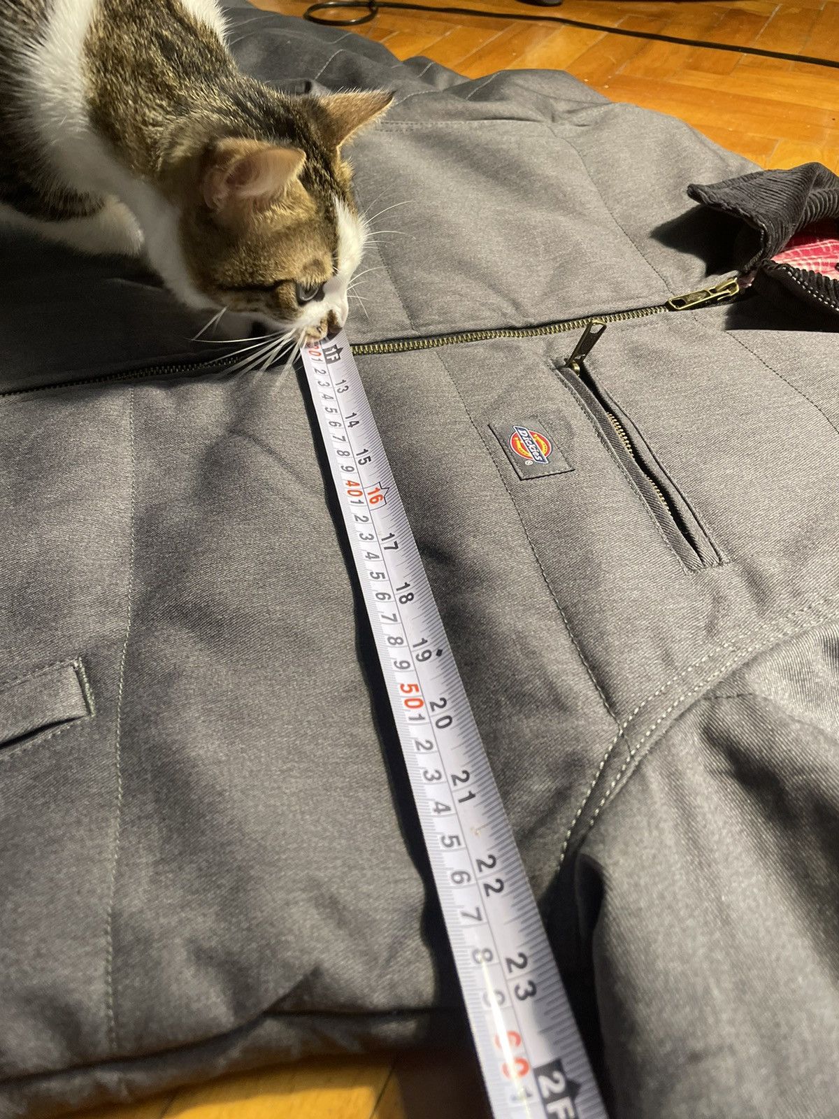 Dickies Dickies Pedro Bay jacket Size US M / EU 48-50 / 2 - 9 Thumbnail