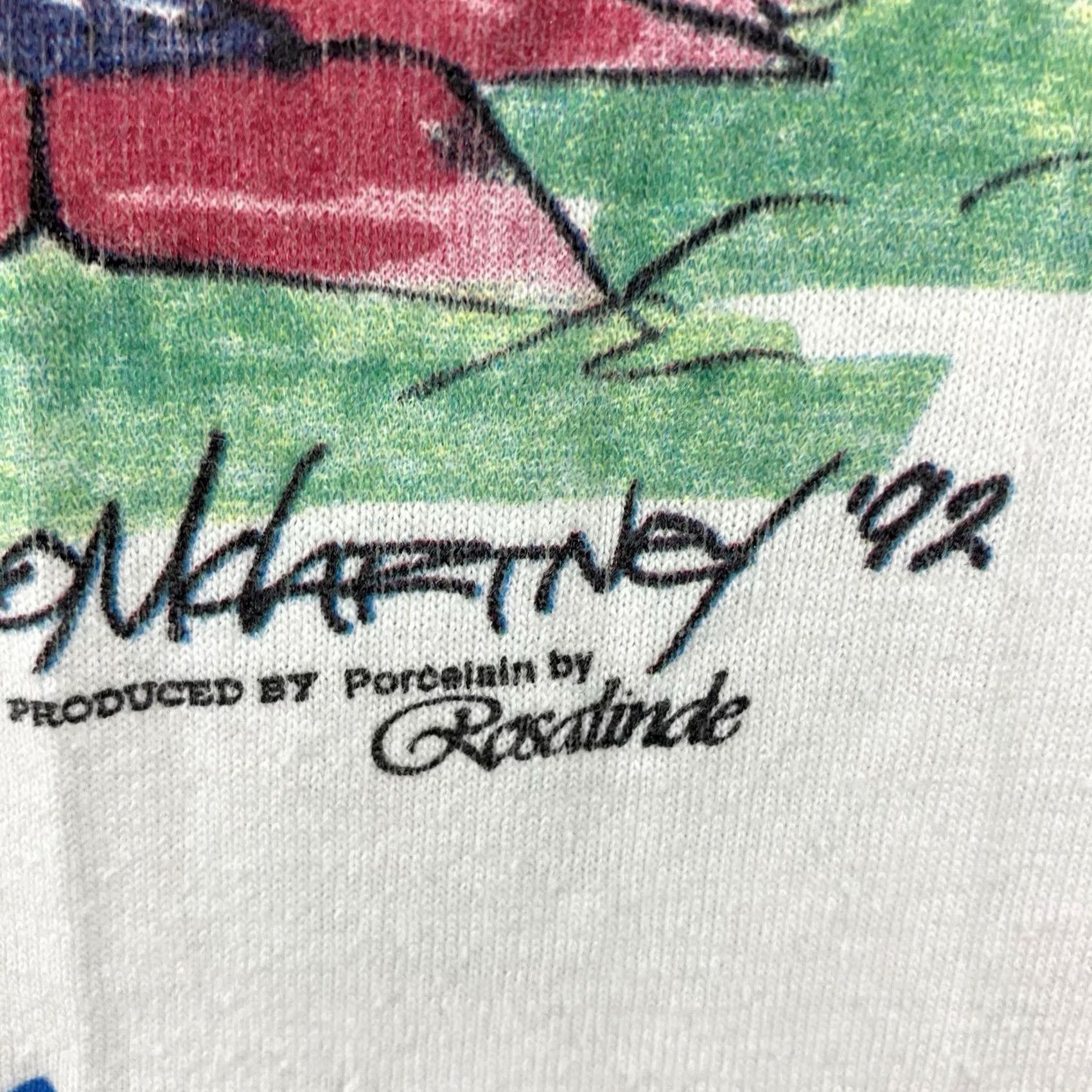 Fruit Of The Loom VINTAGE Cairn Terrier T Shirt Mens XL Single Stitch Funny Basket Cat Souvenir 90s Animals USA Size US XL / EU 56 / 4 - 7 Thumbnail