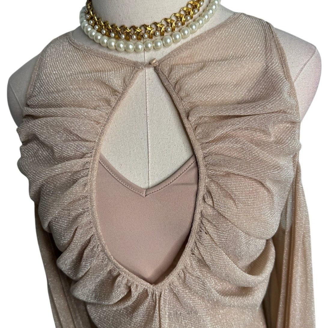 Alice McCall Alice McCall Spell Gown Maxi Dress nude metallic mesh Size 4 Size S / US 4 / IT 40 - 6 Thumbnail