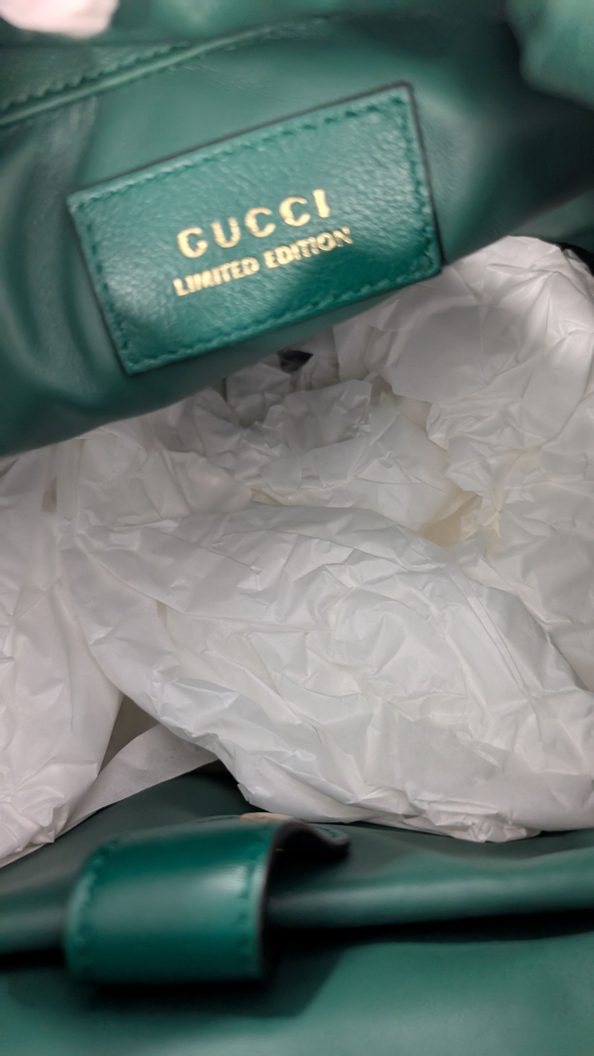 Gucci Gucci Emerald Python Backpack North America EXCLUSIVE Size ONE SIZE - 11 Thumbnail