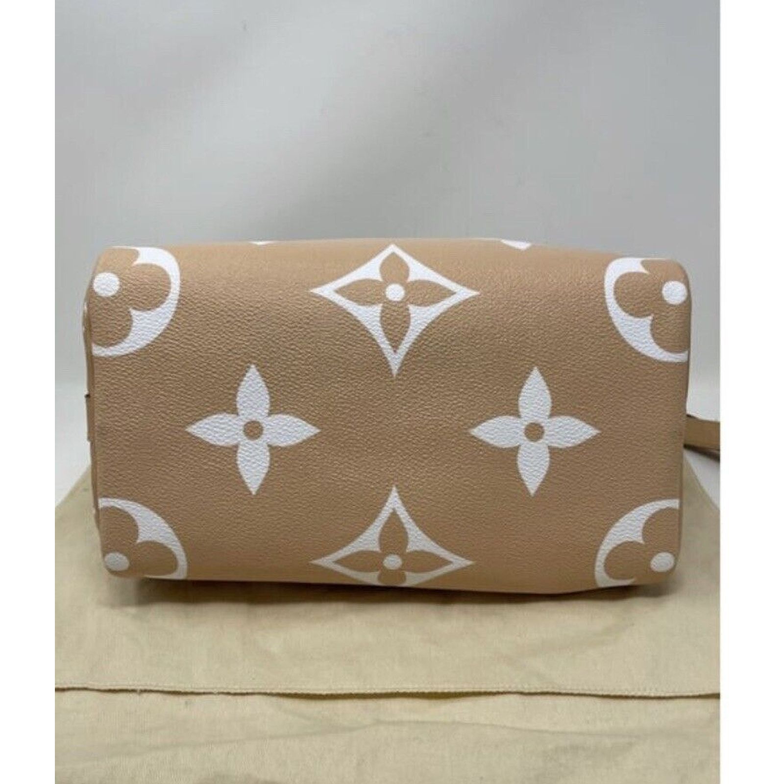 Louis Vuitton Louis Vuitton Speedy 25 Bandouliere Summer By The Pool Mist Size ONE SIZE - 12 Thumbnail