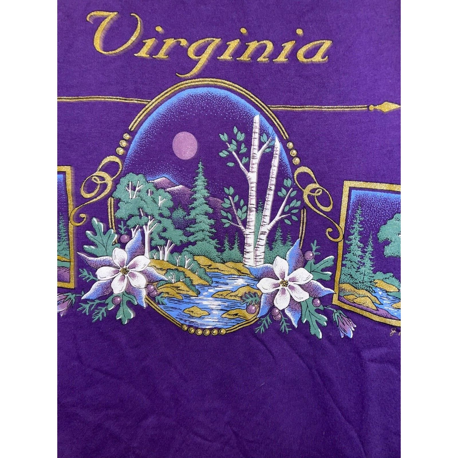 Jerzees Vintage Virginia Shirt Mountains Purple Tee VTG 90s Large Size US L / EU 52-54 / 3 - 5 Thumbnail