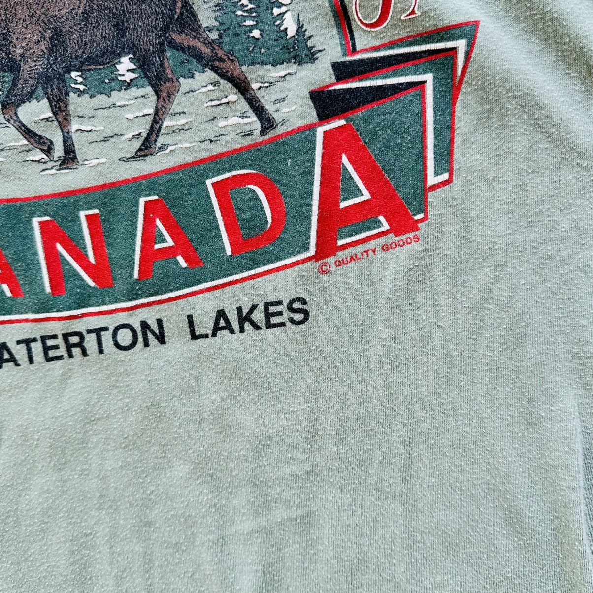 Vintage Vintage Quality Outfitters Canada T Shirt 90s Single Stitch Size US L / EU 52-54 / 3 - 5 Thumbnail
