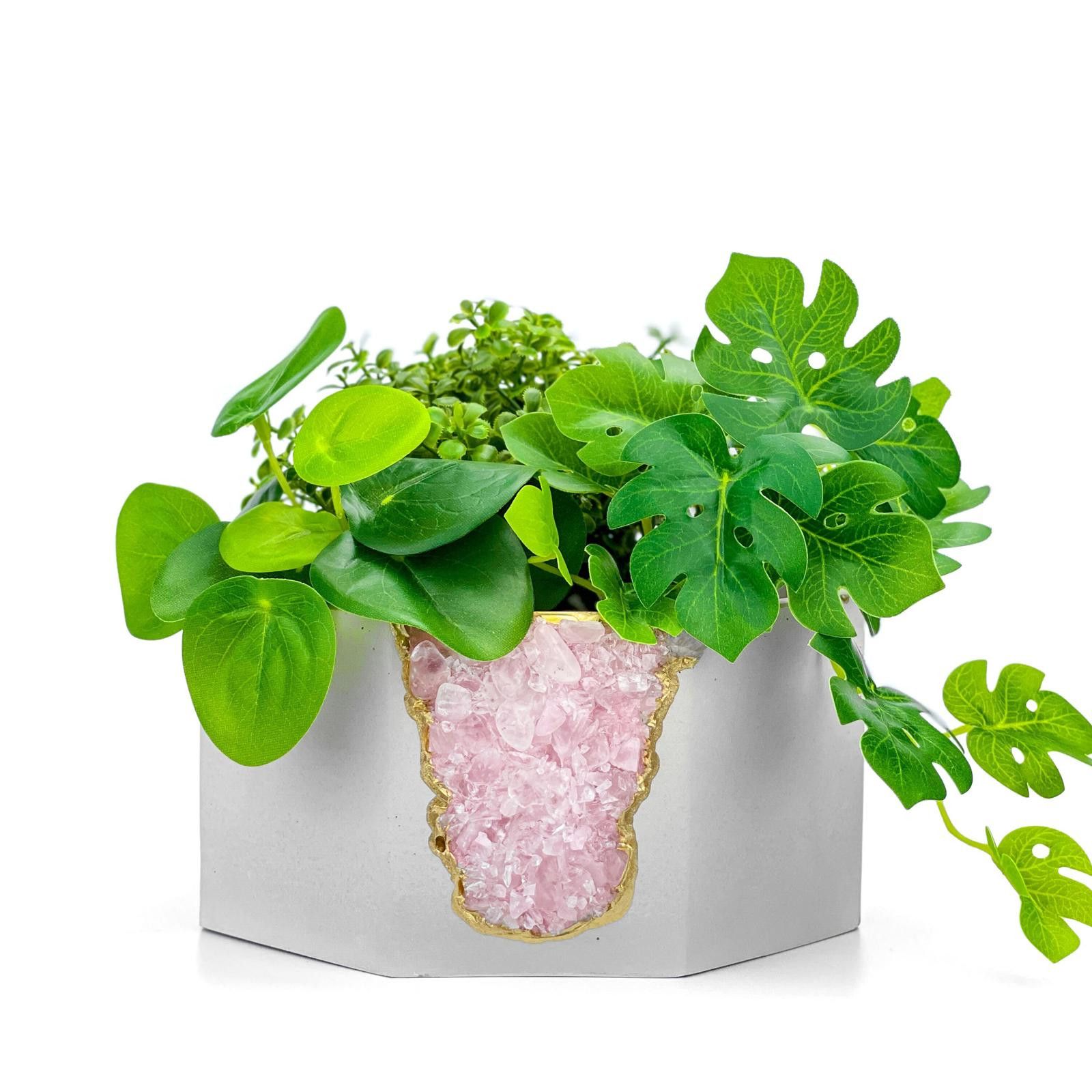 Other Succulent Crystal Planter | Raw Rose Quartz Air Plant Holder Size ONE SIZE - 6 Thumbnail